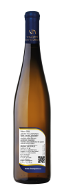 Pálava 2024